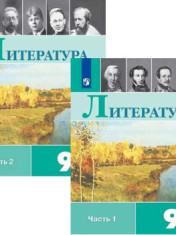Литература. 9 класс. Литература 9-9 класс